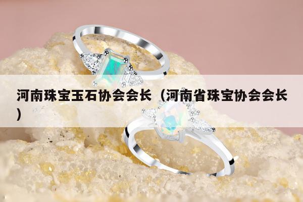 河南珠宝玉石协会会长（河南省珠宝协会会长）