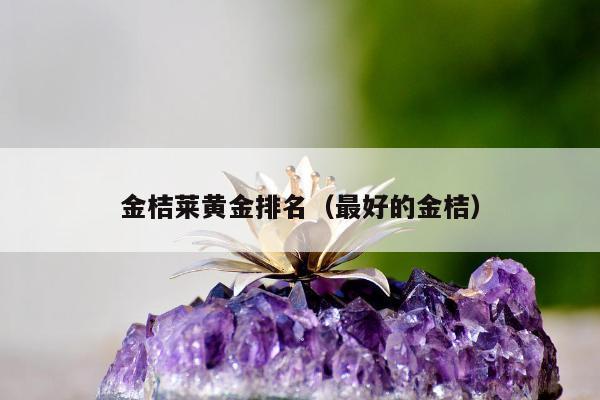 金桔莱黄金排名（最好的金桔）