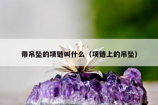 带吊坠的项链叫什么（项链上的吊坠）