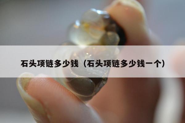 石头项链多少钱（石头项链多少钱一个）
