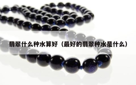 翡翠什么种水算好（最好的翡翠种水是什么）