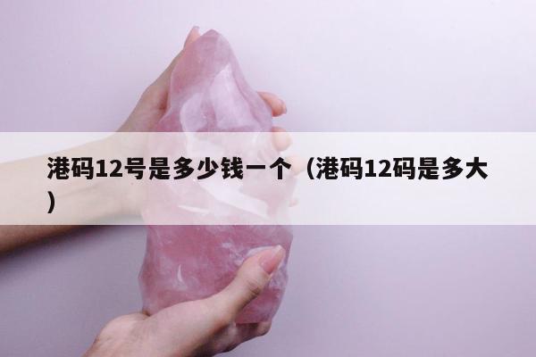 港码12号是多少钱一个（港码12码是多大）