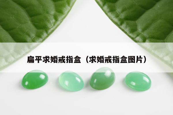 扁平求婚戒指盒（求婚戒指盒图片）