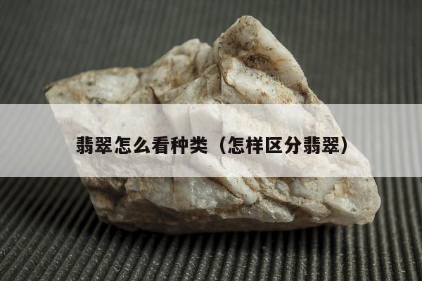 翡翠怎么看种类（怎样区分翡翠）