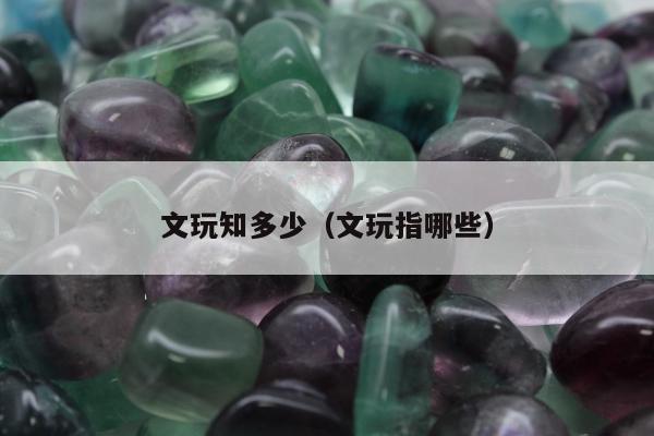 文玩知多少（文玩指哪些）
