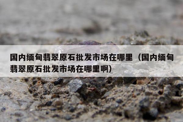 国内缅甸翡翠原石批发市场在哪里（国内缅甸翡翠原石批发市场在哪里啊）