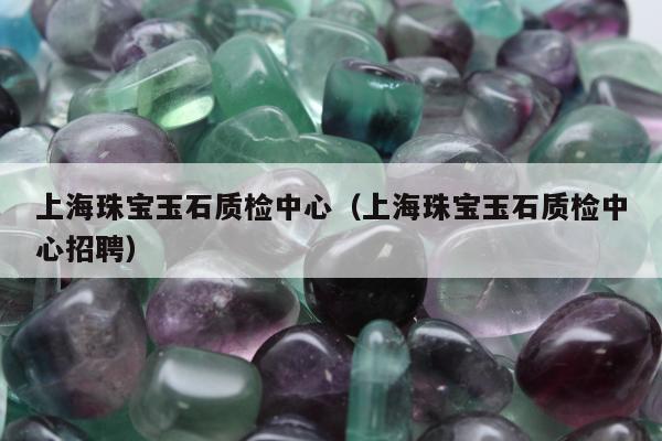上海珠宝玉石质检中心（上海珠宝玉石质检中心招聘）