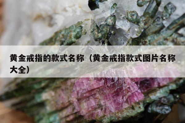 黄金戒指的款式名称（黄金戒指款式图片名称大全）