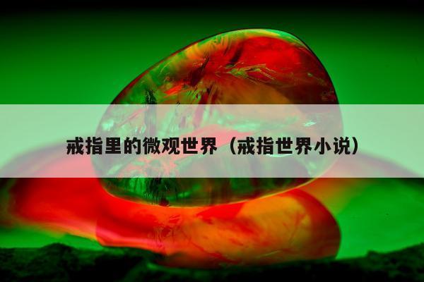 戒指里的微观世界（戒指世界小说）