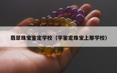 翡翠珠宝鉴定学校（学鉴定珠宝上那学校）