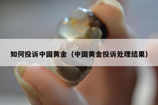 如何投诉中国黄金（中国黄金投诉处理结果）