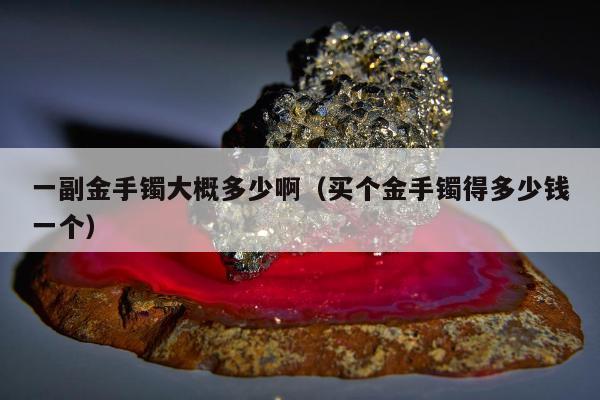 一副金手镯大概多少啊（买个金手镯得多少钱一个）
