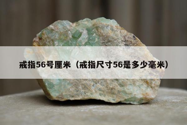 戒指56号厘米（戒指尺寸56是多少毫米）