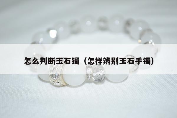 怎么判断玉石镯（怎样辨别玉石手镯）