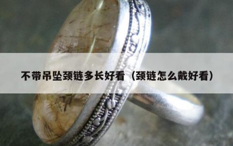 不带吊坠颈链多长好看（颈链怎么戴好看）