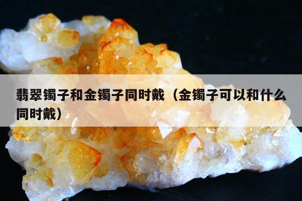 翡翠镯子和金镯子同时戴（金镯子可以和什么同时戴）