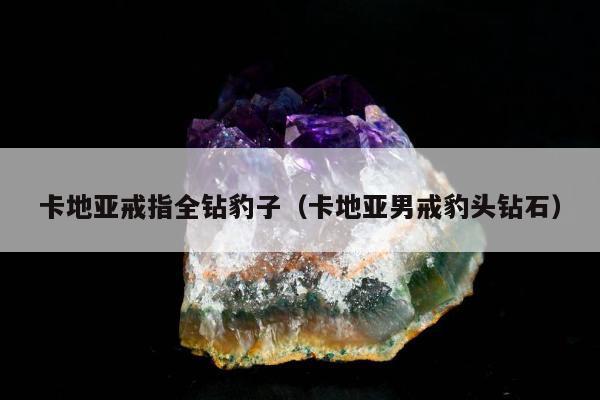 卡地亚戒指全钻豹子（卡地亚男戒豹头钻石）