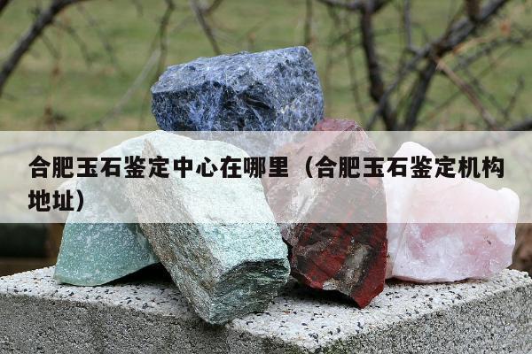 合肥玉石鉴定中心在哪里（合肥玉石鉴定机构地址）