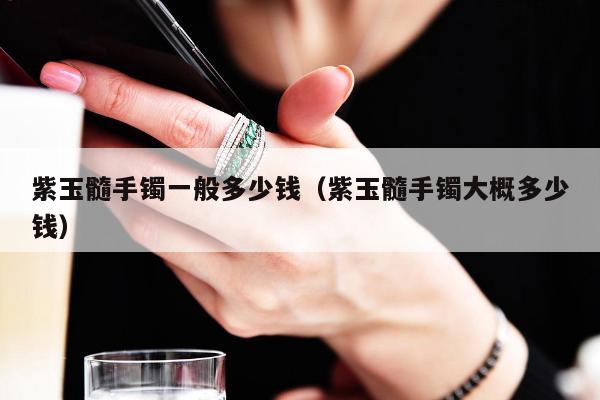 紫玉髓手镯一般多少钱（紫玉髓手镯大概多少钱）