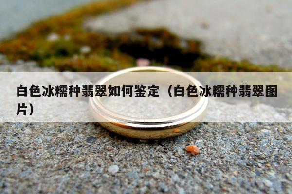 白色冰糯种翡翠如何鉴定（白色冰糯种翡翠图片）