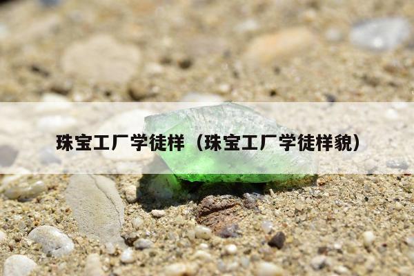 珠宝工厂学徒样（珠宝工厂学徒样貌）