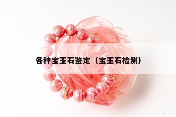 各种宝玉石鉴定（宝玉石检测）