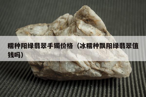 糯种阳绿翡翠手镯价格（冰糯种飘阳绿翡翠值钱吗）