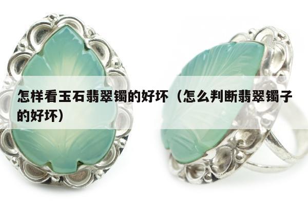 怎样看玉石翡翠镯的好坏（怎么判断翡翠镯子的好坏）