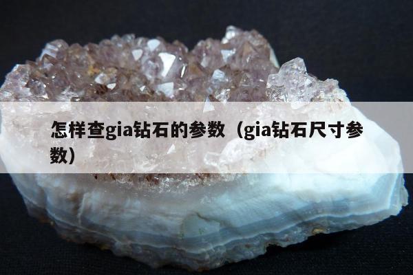 怎样查gia钻石的参数（gia钻石尺寸参数）