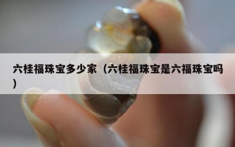 六桂福珠宝多少家（六桂福珠宝是六福珠宝吗）