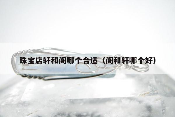 珠宝店轩和阁哪个合适（阁和轩哪个好）