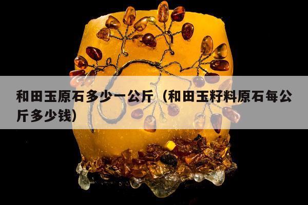 和田玉原石多少一公斤（和田玉籽料原石每公斤多少钱）