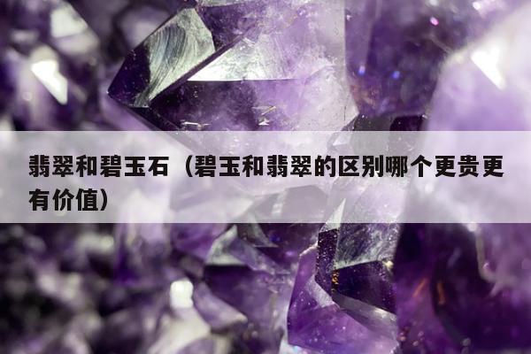 翡翠和碧玉石（碧玉和翡翠的区别哪个更贵更有价值）