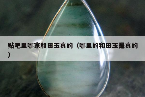 贴吧里哪家和田玉真的（哪里的和田玉是真的）