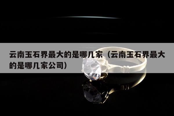 云南玉石界最大的是哪几家（云南玉石界最大的是哪几家公司）