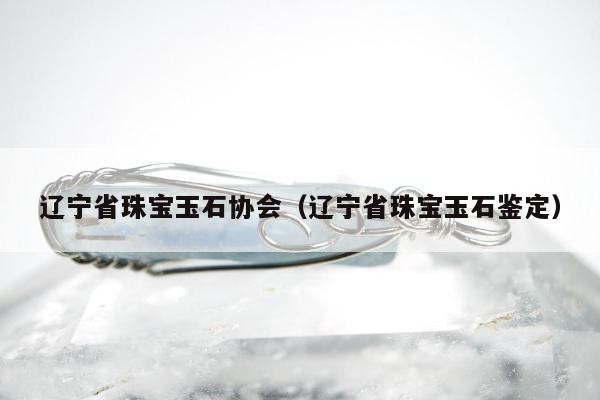 辽宁省珠宝玉石协会（辽宁省珠宝玉石鉴定）