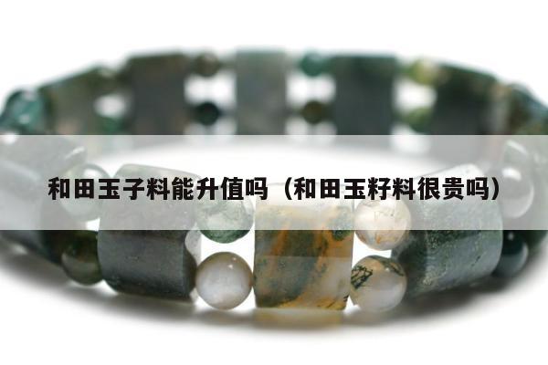 和田玉子料能升值吗（和田玉籽料很贵吗）