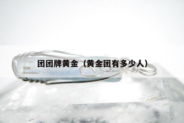 团团牌黄金（黄金团有多少人）
