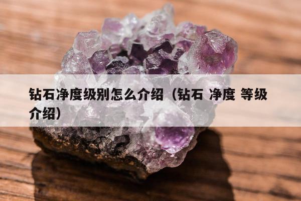 钻石净度级别怎么介绍（钻石 净度 等级 介绍）