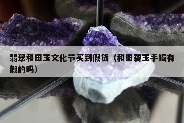 翡翠和田玉文化节买到假货（和田碧玉手镯有假的吗）