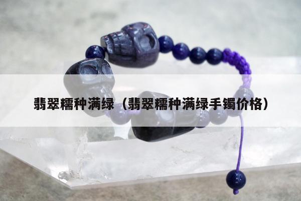 翡翠糯种满绿（翡翠糯种满绿手镯价格）