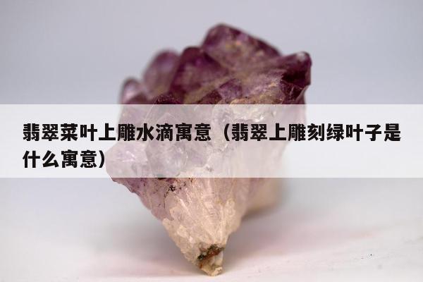 翡翠菜叶上雕水滴寓意（翡翠上雕刻绿叶子是什么寓意）