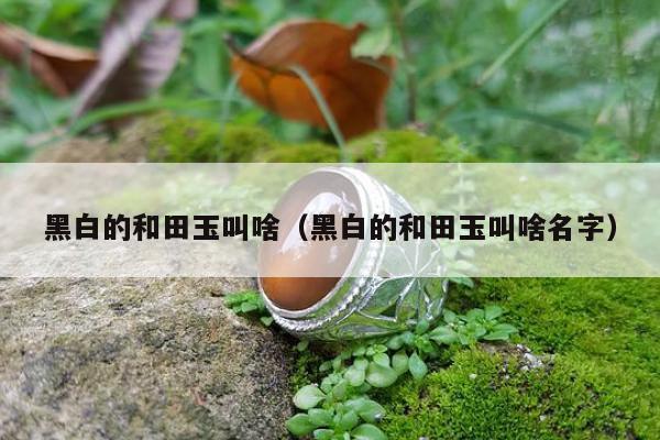 黑白的和田玉叫啥（黑白的和田玉叫啥名字）