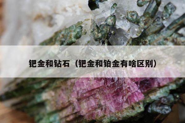 钯金和钻石（钯金和铂金有啥区别）
