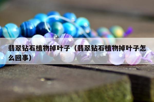 翡翠钻石植物掉叶子（翡翠钻石植物掉叶子怎么回事）