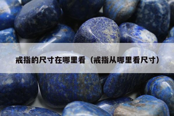 戒指的尺寸在哪里看（戒指从哪里看尺寸）