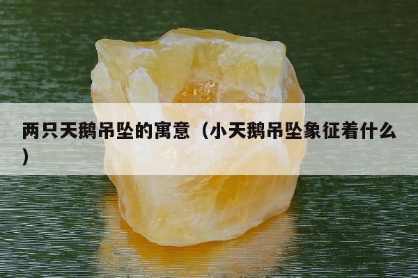 两只天鹅吊坠的寓意（小天鹅吊坠象征着什么）