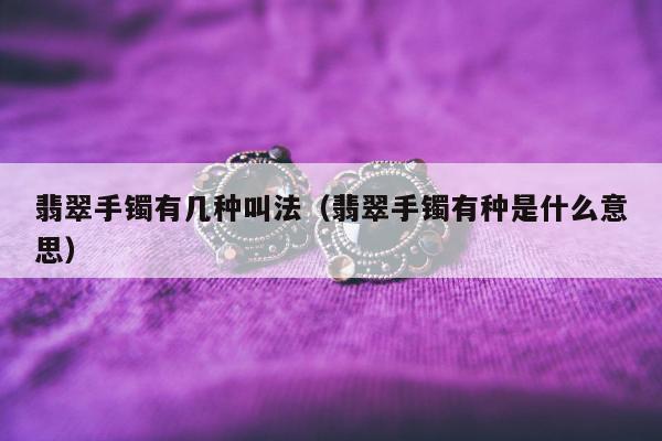 翡翠手镯有几种叫法（翡翠手镯有种是什么意思）