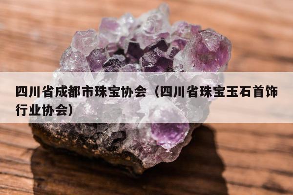 四川省成都市珠宝协会（四川省珠宝玉石首饰行业协会）