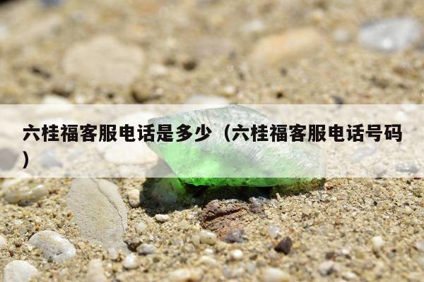 六桂福客服电话是多少（六桂福客服电话号码）